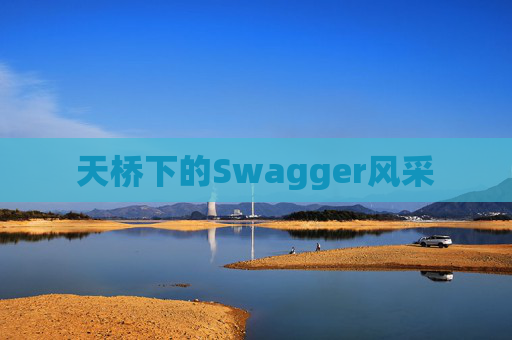 天桥下的Swagger风采